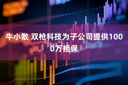 牛小散 双枪科技为子公司提供1000万担保