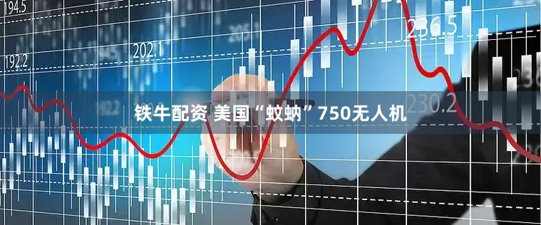 铁牛配资 美国“蚊蚋”750无人机