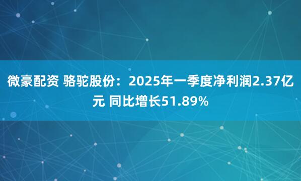 微豪配资 骆驼股份：2025年一季度净利润2.37亿元 同比增长51.89%