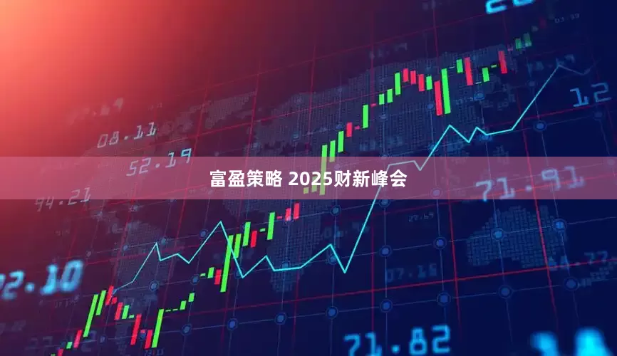 富盈策略 2025财新峰会